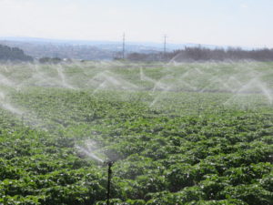 irrigatori da giardino - giordano shop